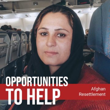 Evacuated Afghans Need Urgent Resettlement